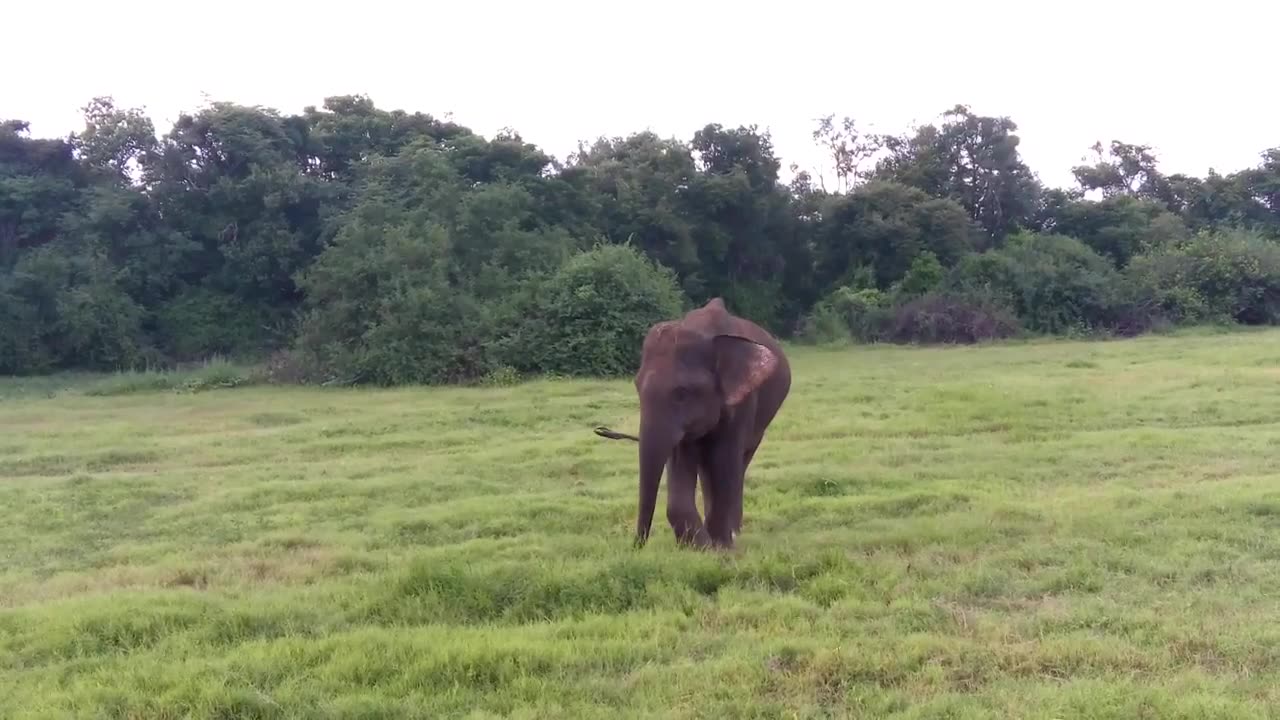 Gal Oya National Park