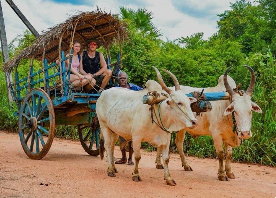 Visitors riding a bullock cart pulled by two cattle, with the cart owner walking alongside
